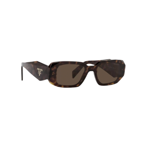 PR - Acetate Rectangle Brown Frame